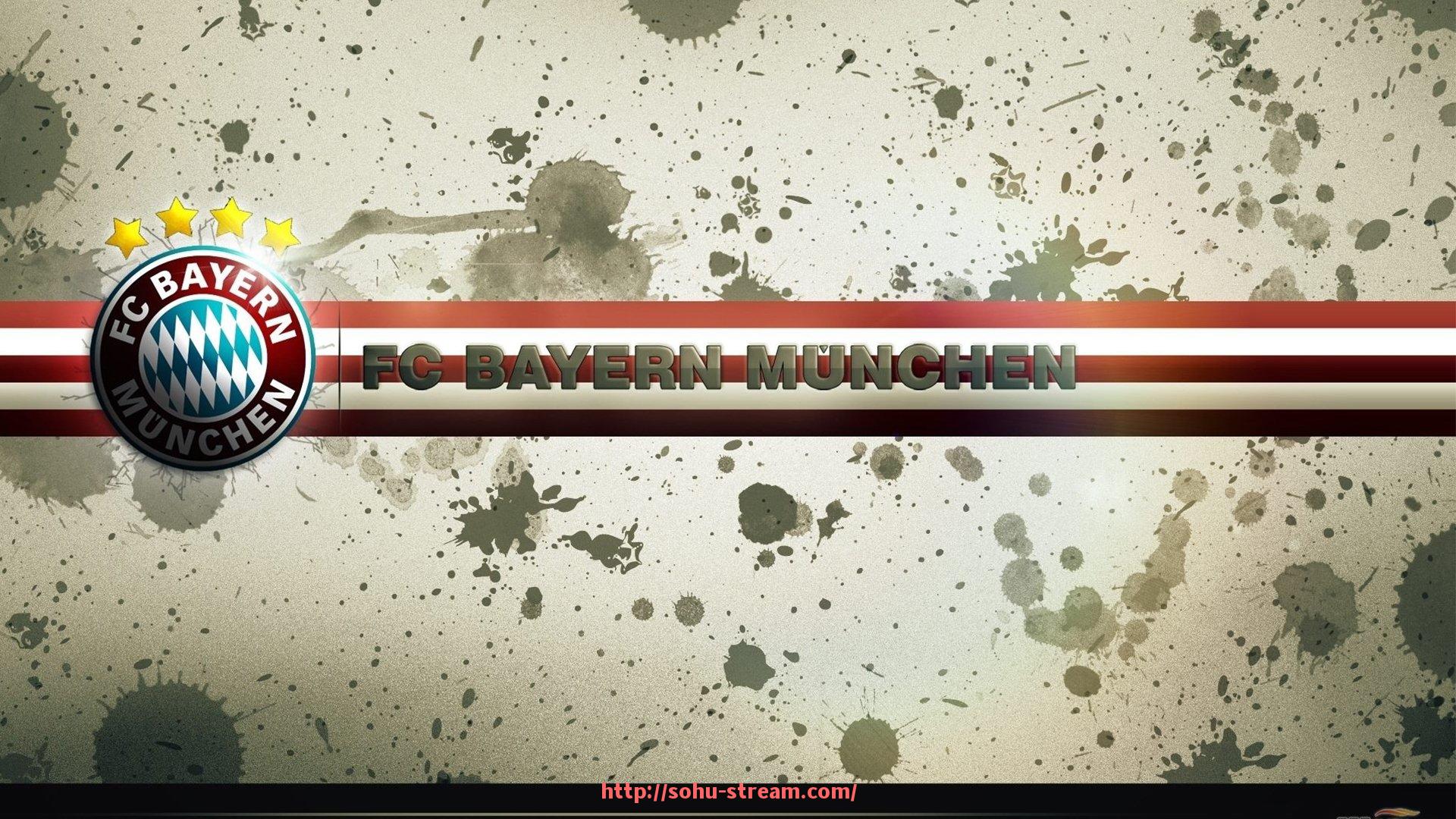 搜狐体育直播-德甲哪些球队拥有最多球迷群体的分析报告