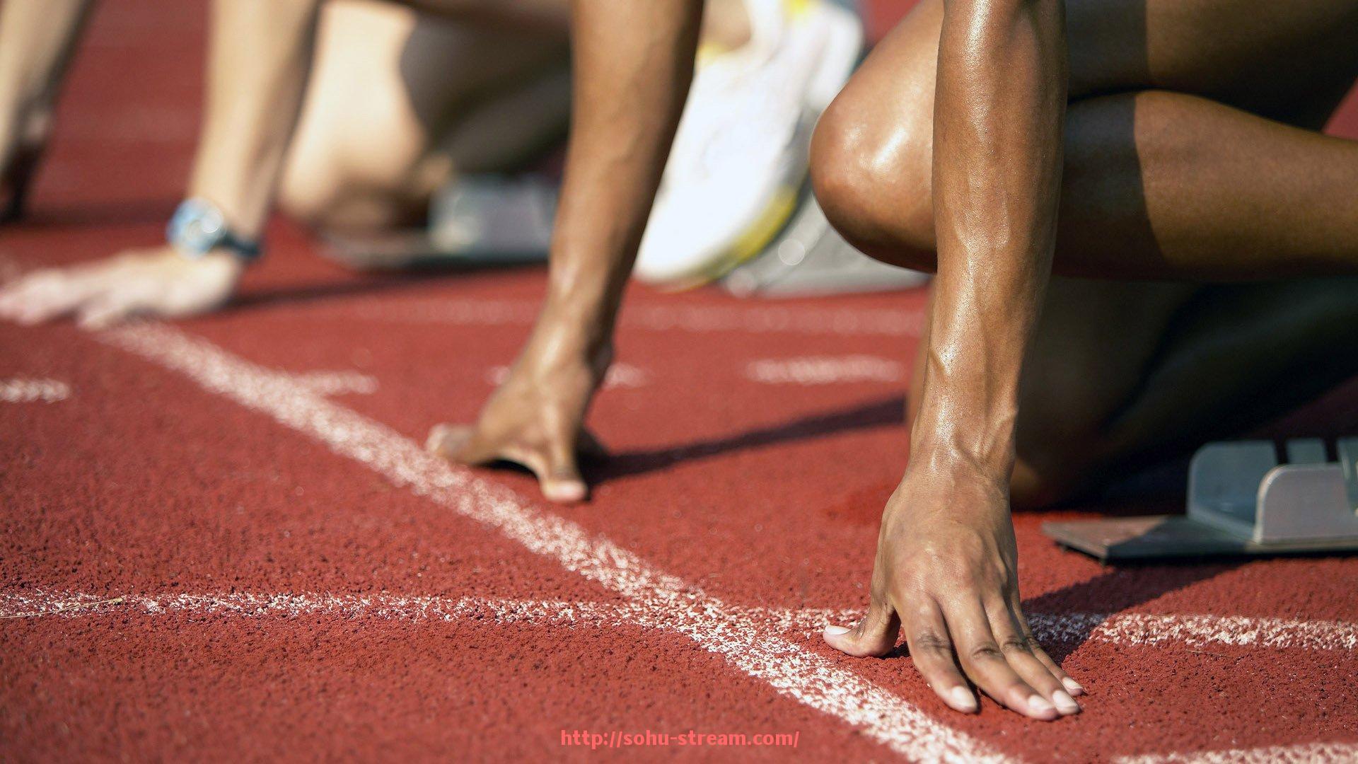 搜狐体育直播-世俱杯赛事外语解说版权协议范本与区域管控策略分析